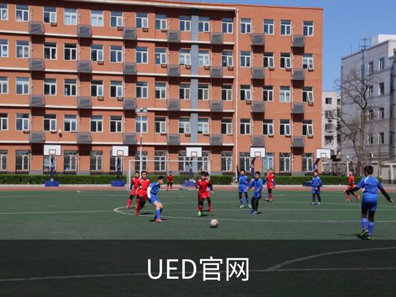 UED官网简介